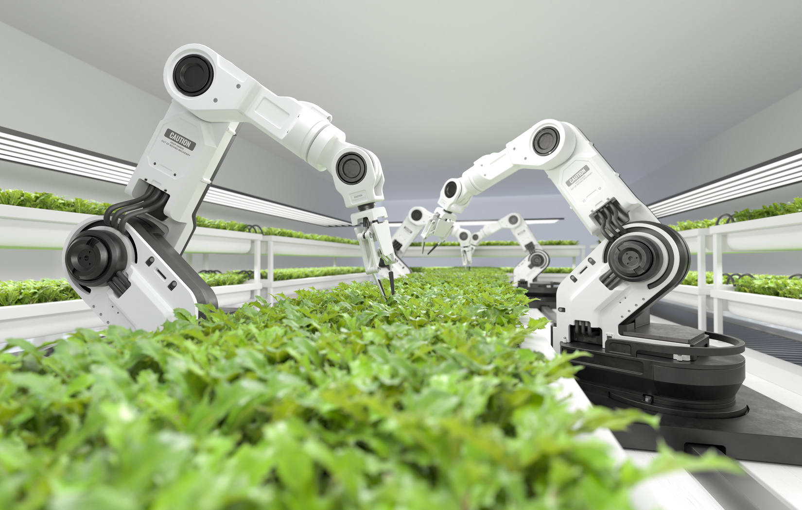 Smart robotic farmers concept, robot farmers, Agriculture techno