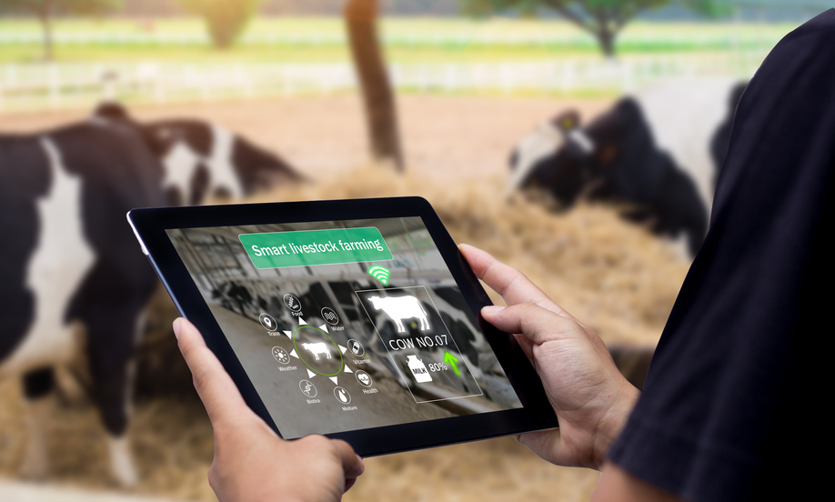 Smart Agritech livestock farming.